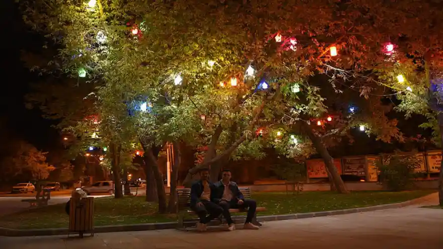 Ağaç Feneri' ile Ağrı Artık Rengarenk
