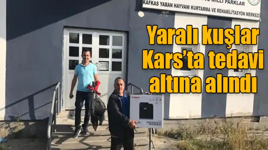 Yaralı kuşlar Kars'ta tedavi altına alındı
