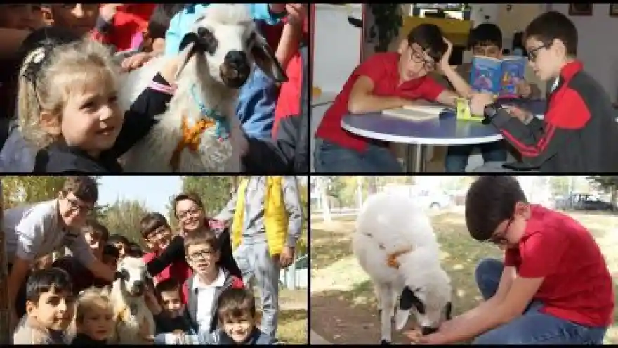 Erzurum'da Kuzulu Çocuk Kütüphanesi
