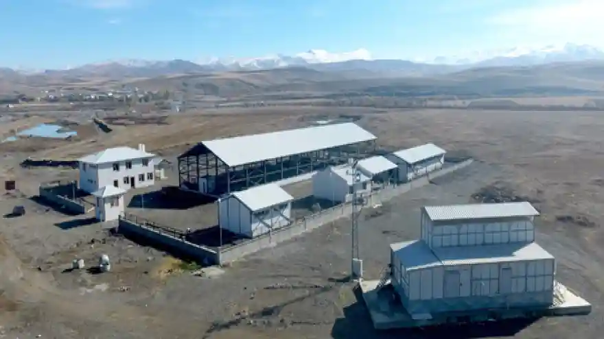 Büyükşehir Horasan'a canlı hayvan pazarı yaptı
