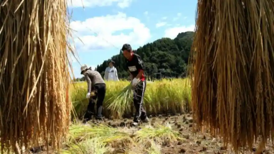 Japonya işçi göçünü kolaylaştırmaya hazırlanıyor