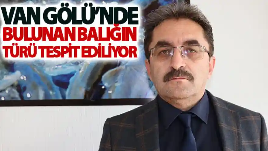 Van Gölü'nde bulunan balığın türü tespit ediliyor