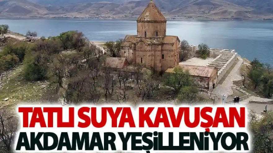 Tatlı suya kavuşan Akdamar Adası yeşilleniyor