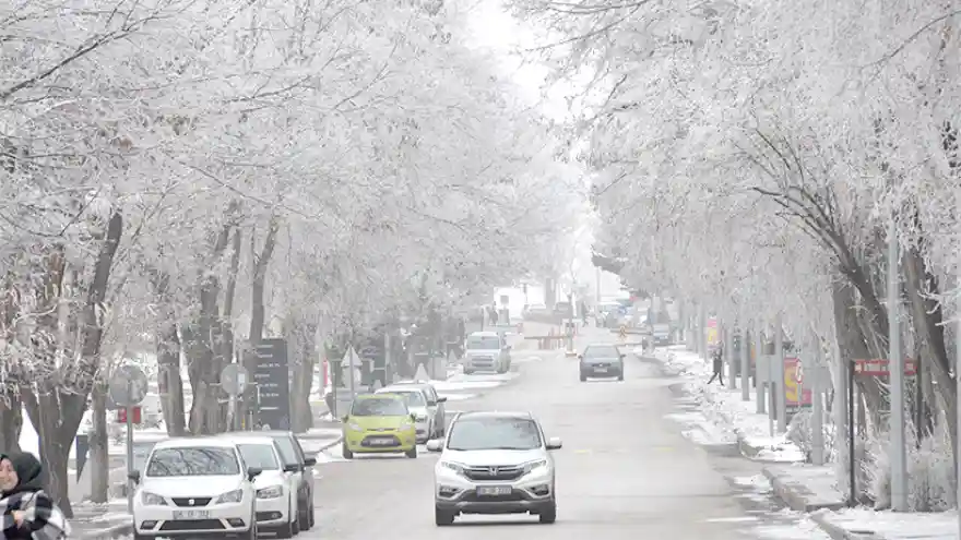 Erzurum'da Ağaçlar Kırağı Tuttu