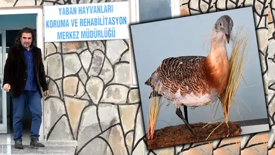 En Büyük Düşmanları
