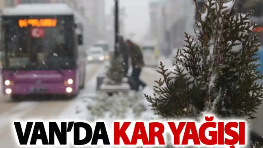 Van'da yoğun kar yağışı
