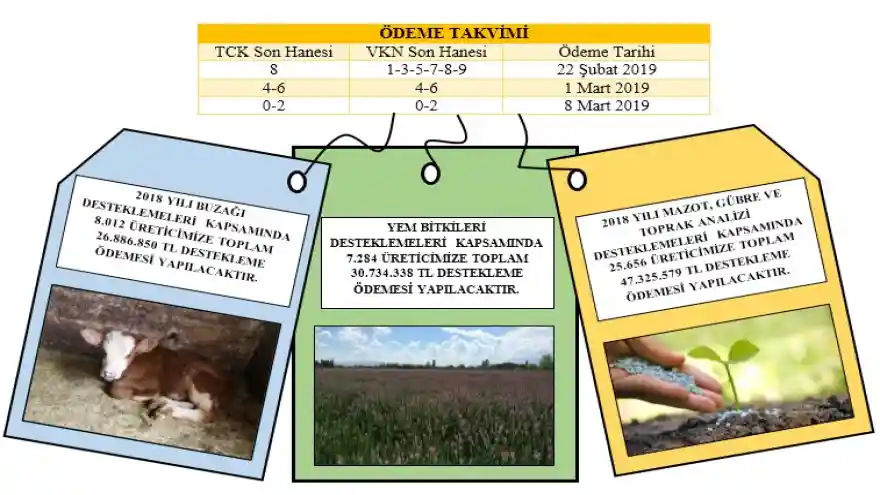 Çiftçilere Mazot Gübre Yem Bitkileri ve Buzağı

Destek Ödemeleri Başlıyor