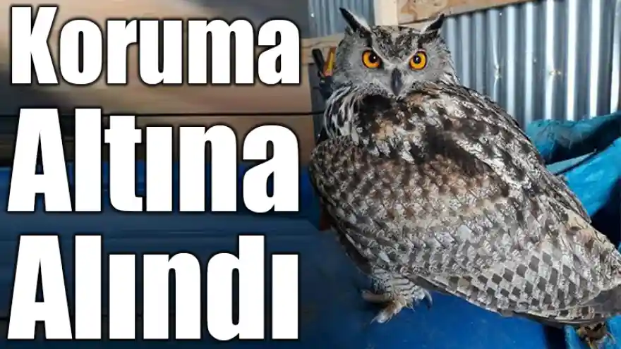 Koruma Altına Alındı