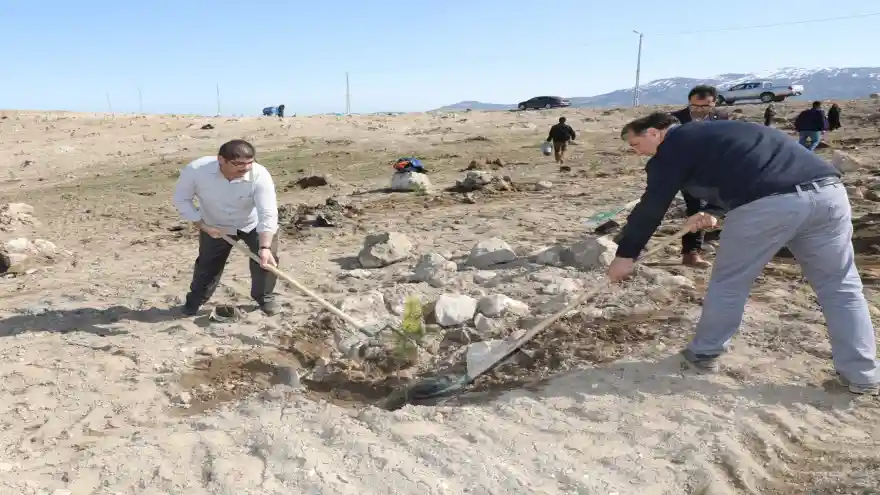 Iğdır Üniversitesinde Ağaç Dikim Etkinliği