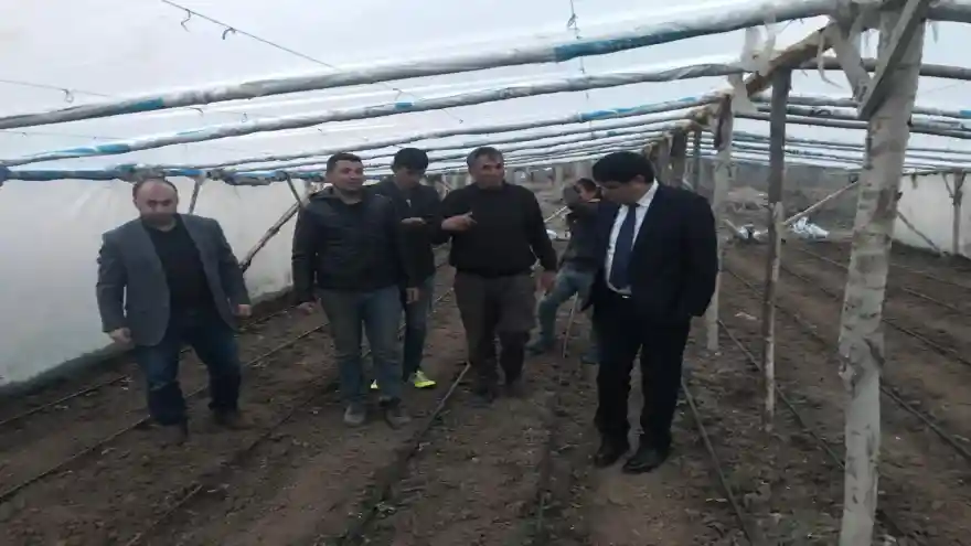 Rektör Alma, Örnek Çiftçi Alican Akcan'ın Serasında İncelmelerde Bulundu