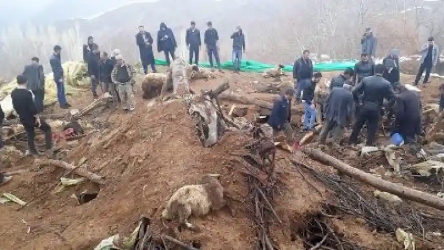 374 Küçükbaş Hayvan Telef Oldu