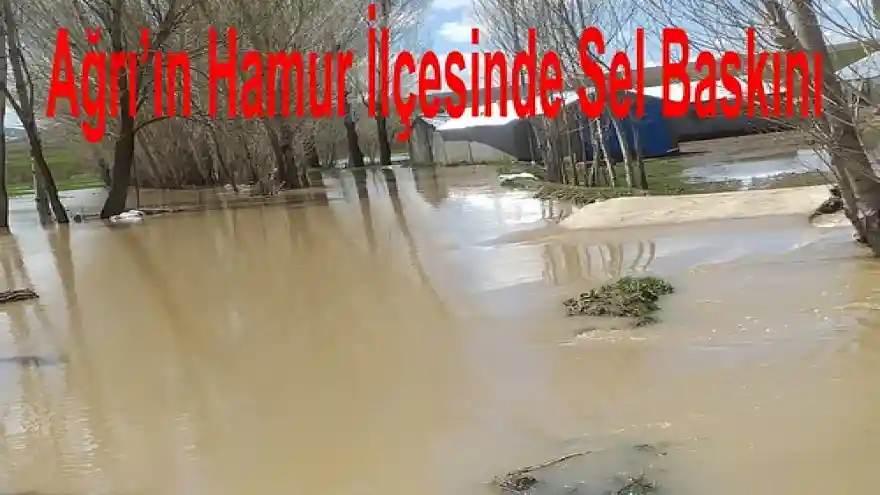 Ağrı'ın Hamur İlçesinde Sel Baskını