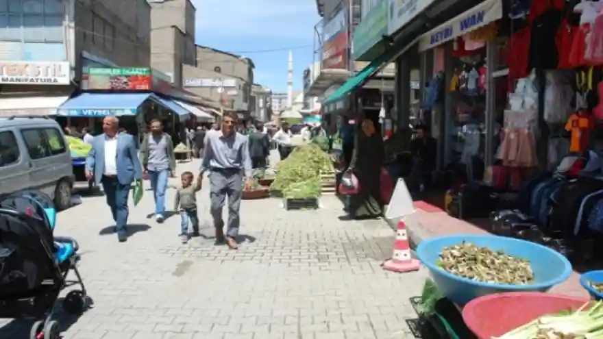 Van sokakları çeşit çeşit otlarla şenlendi

