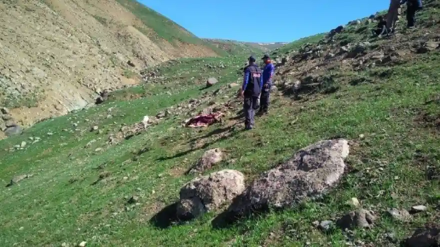 Ağrı'da kaybolan vatandaş ölü bulundu
