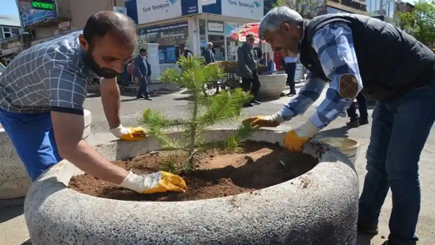 Patnos'ta binlerce çiçek ve ağaç toprakla buluşturuluyor

