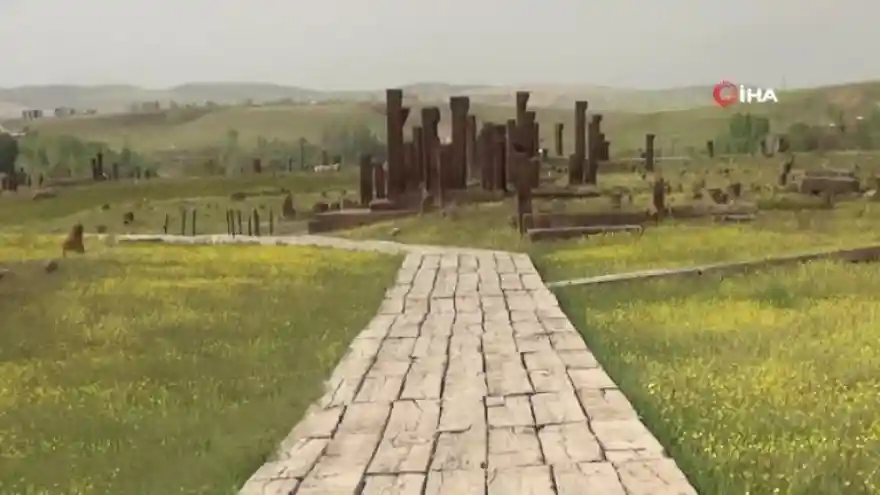 Tarihi Selçuklu mezarlığı sarıya büründü