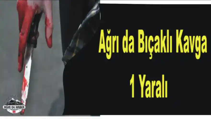 Taşlıçay'da bıçaklı kavga 1 yaralı