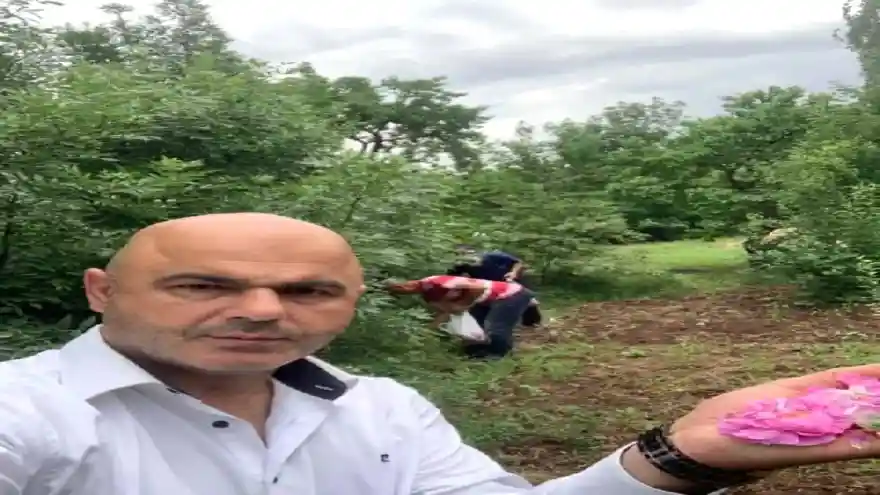 Başkan ve erkekler gül topladı, kadınlar reçel yaptı