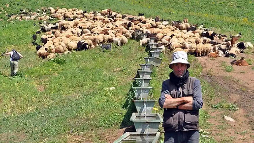 İran'dan Gelip Çoban Oldu