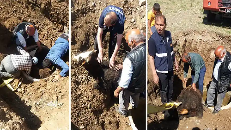 Su Kuyusuna Düştü