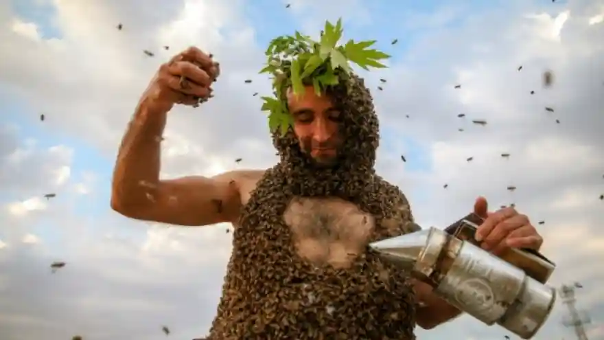 Vanlı arıcı rekorlar kitabına girmek istiyor! Rekor denemesini arılarla yapacak...