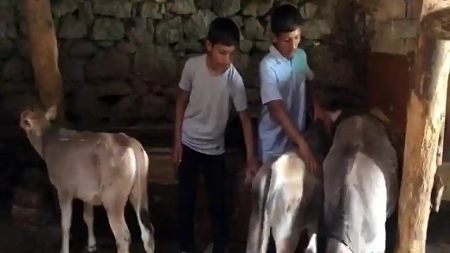 ikizler Türkiye birincisi ve ikincisi oldu