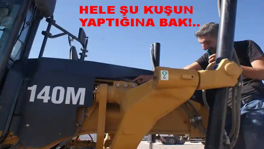  HELE ŞU KUŞUN YAPTIĞINA BAK!...