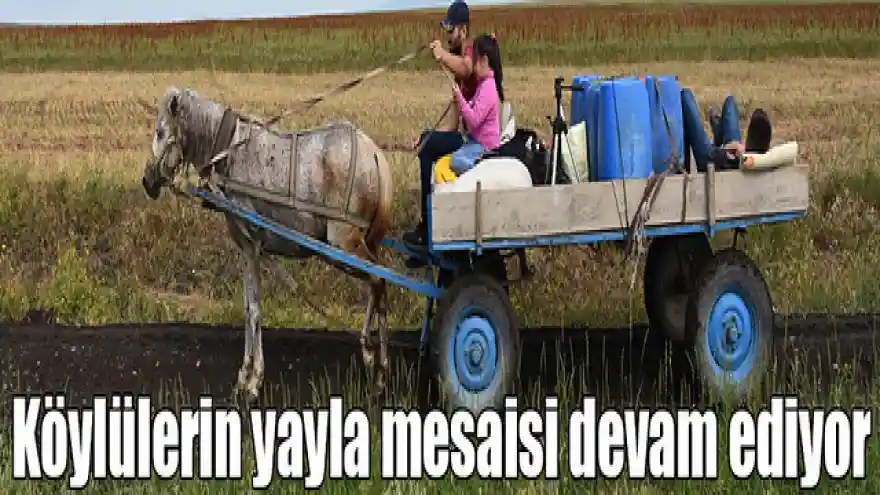 Kars'ta köylülerin "yayla mesaisi" devam ediyor
