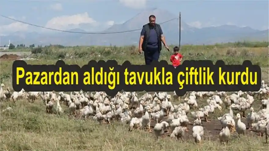 Pazardan aldığı tavukla çiftlik kurdu