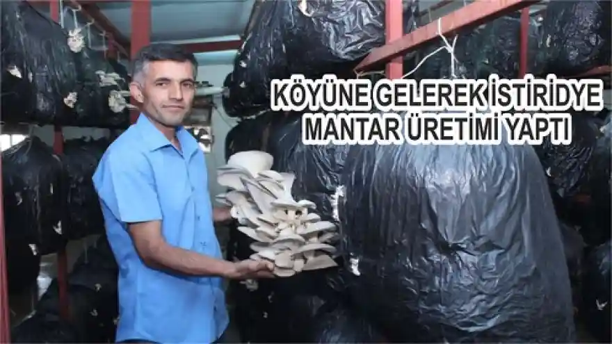KÖYÜNE GELEREK İSTİRİDYE MANTAR ÜRETİMİ YAPTI