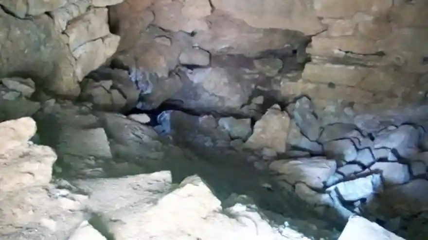 Yıllarca Türbe Diye Gidip Dua Ettiler! 