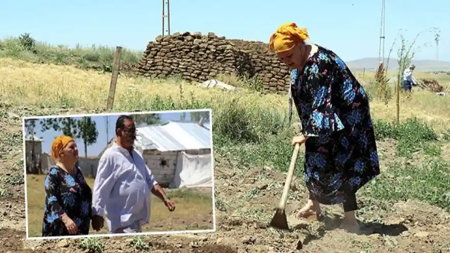 Hollanda'yı Değil! Ağrı'yı Tercih Ederim 