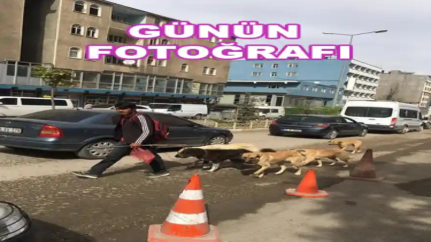 GÜNÜN FOTOĞRAFI
