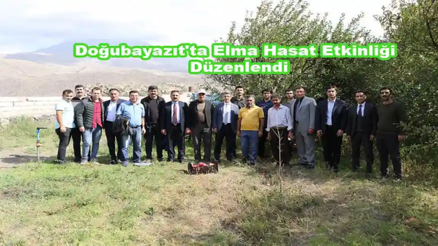Doğubayazıt'ta Elma Hasat Etkinliği Düzenlendi