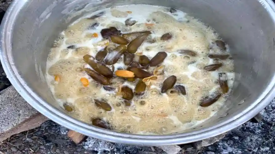 Tuzluca'lı kadınlar Iğdır bölgesine ait patlıcan reçeli yaptılar