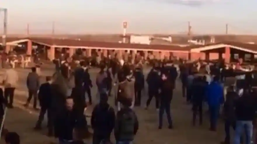 Hayvan pazarında taşlı sopalı kavga kamerada