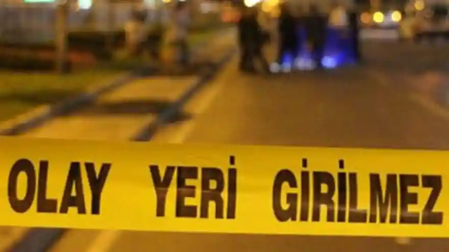 Evdeki kedi ve köpekler ölen sahiplerinin cesedini yedi