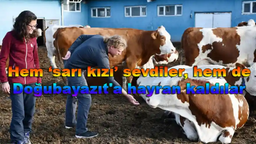Hem 'sarı kızı' sevdiler, hem de Doğubayazıt'a hayran kaldılar
