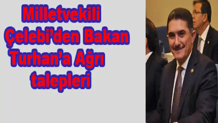 Milletvekili Çelebi'den Bakan Turhan'a Ağrı talepleri