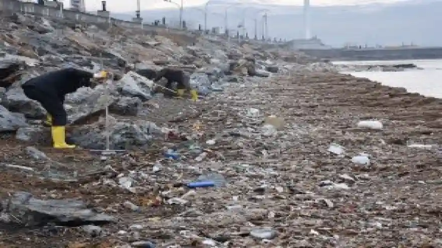 Başkan Geylani, Van Gölü sahilindeki temizlik çalışmalarını inceledi