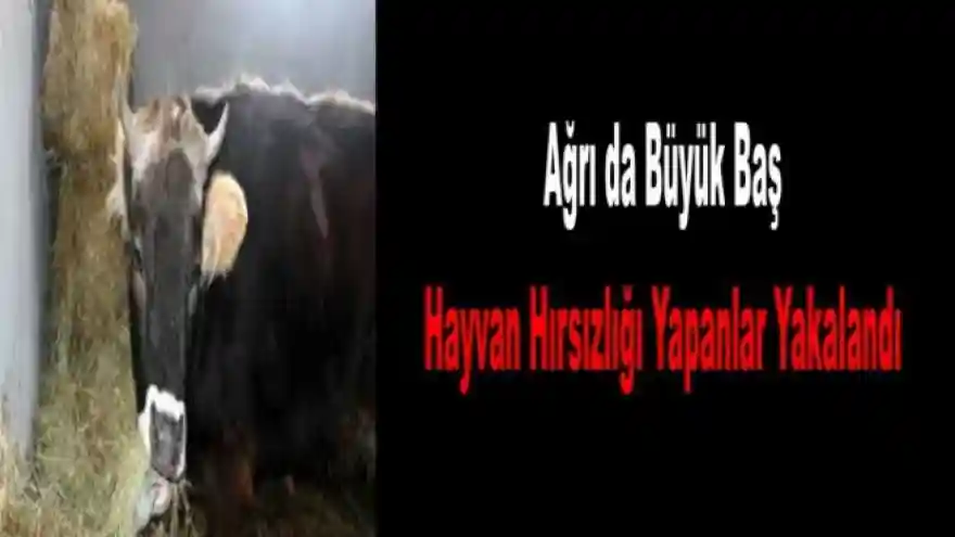 Ağrı da 2 Hırsız Tutuklandı  