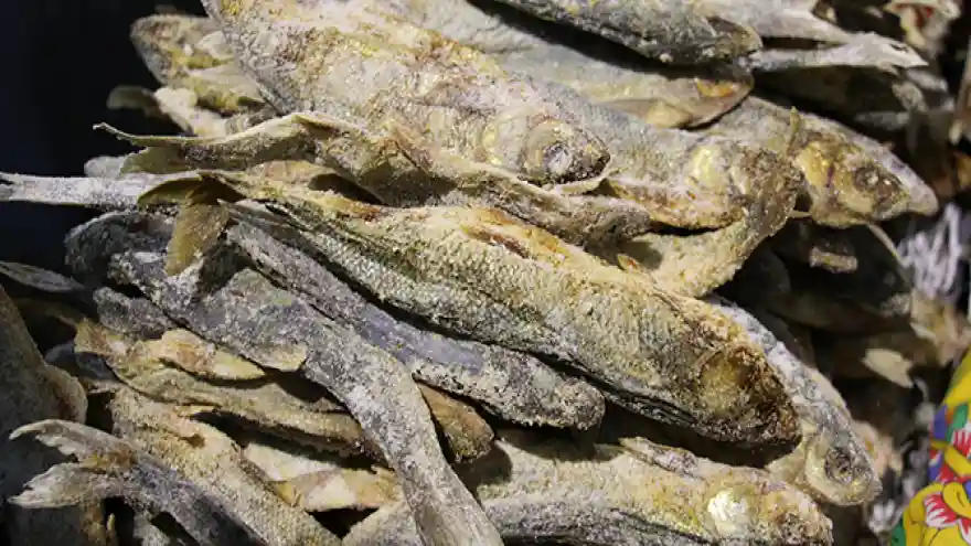 Van Balığı, Ankaralıları mest etti! Kaynak: Van Balığı, Ankaralıları mest etti! 