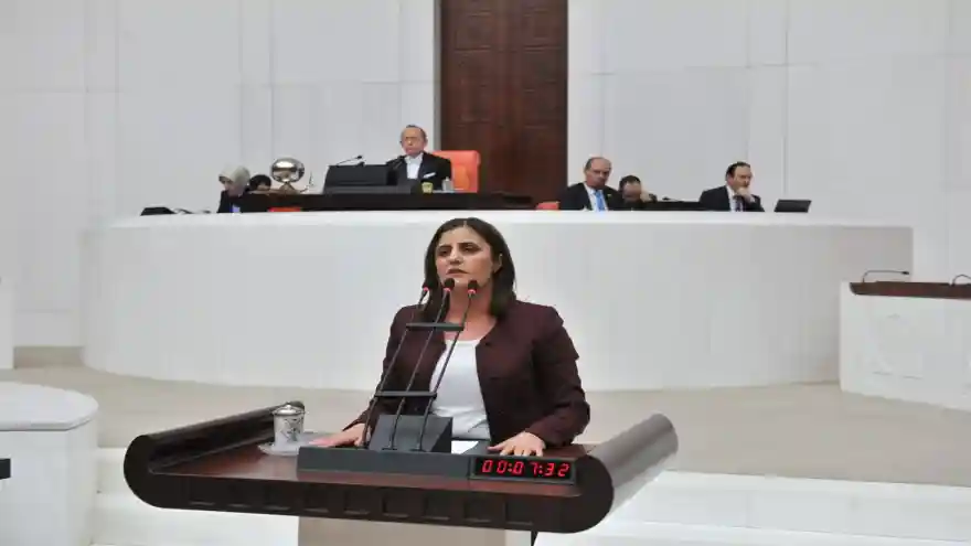 Ağrı Devlet Hastanesinin sorunlarına ilişkin soru önergesi