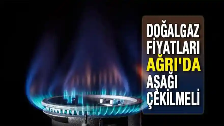 Ağrı'daki STK'lardan Doğalgaz fiyatına Tepki