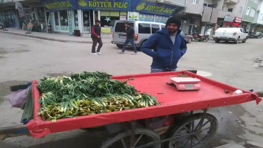ÇİRİŞ(GULİK) TEZGAHLARDA YERİNİ ALDI