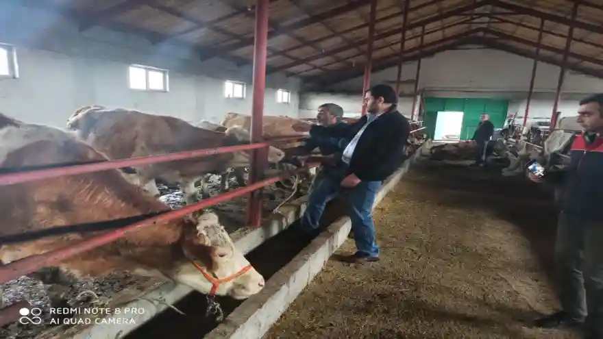  AĞRI’LI ÜRETİCİLERE DÜVELERİ DAĞITILDI