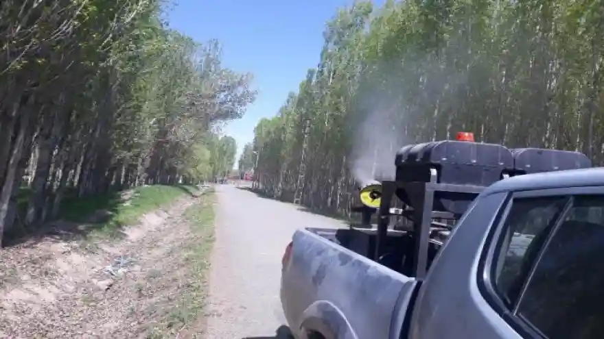 Iğdır Belediyesi Böcek İlaçlama Çalışması Başlattı