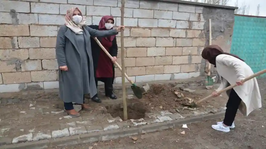 Patnos Belediyesince  Daha yeşil ve güzel bir Patnos için çalışmaya devam ediliyor