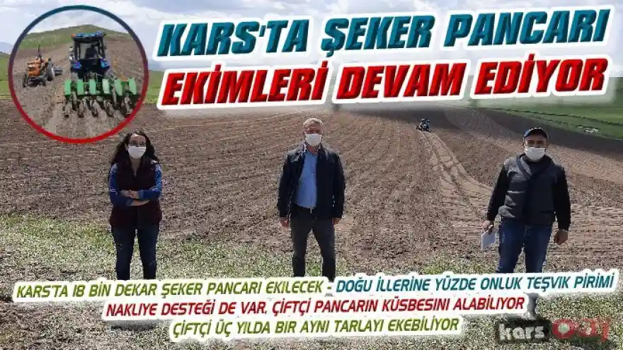Kars'ta şeker fabrikasında şeker imalatı için pancar yetiştiren üreticiler şeker pancarı ekimine dev