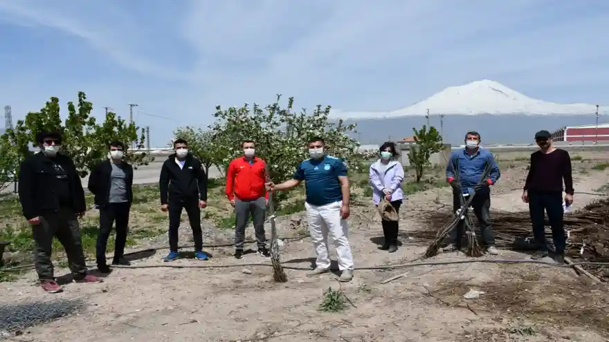 Doğubayazıt'ta 3 bin meyve fidanı toprakla buluşacak
